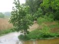 Aus dem Rundweg um den Maisinger See wurde ein Bach.