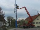 Bei einem schönen Maibaum, der sein Pensum an Jahren noch nicht erreicht hat, kommt auch Maibaumpflege vor ...