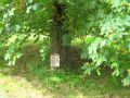 als lehrreicher Park, man kann lesen, was für Bäume hier stehen, z.B.: Eine rotblühende Kastanie, ...